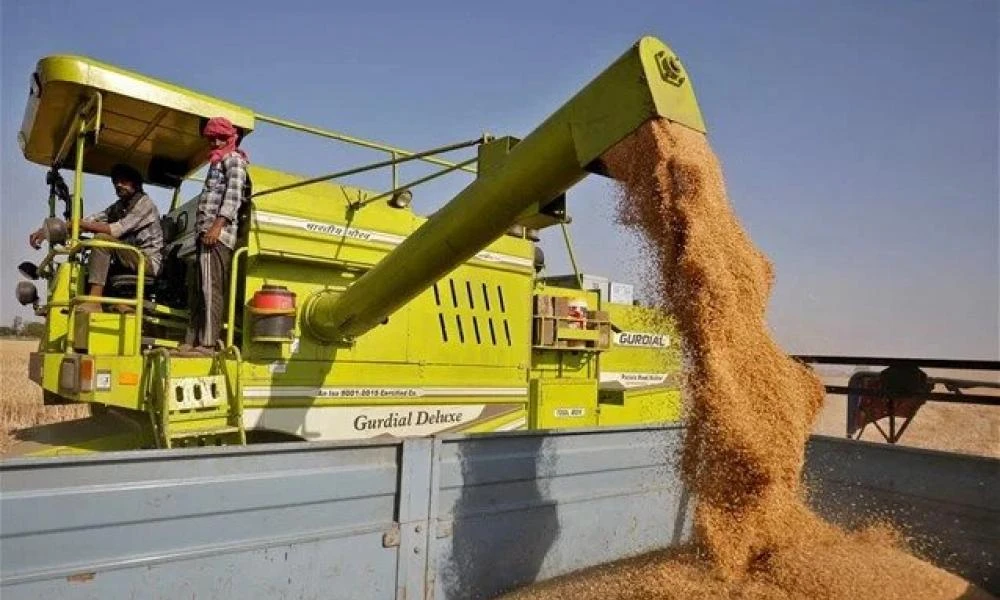 Ουκρανία: Ο Πούτιν θετικός σε συζητήσεις για να βρεθούν λύσεις στην εξαγωγή σιτηρών